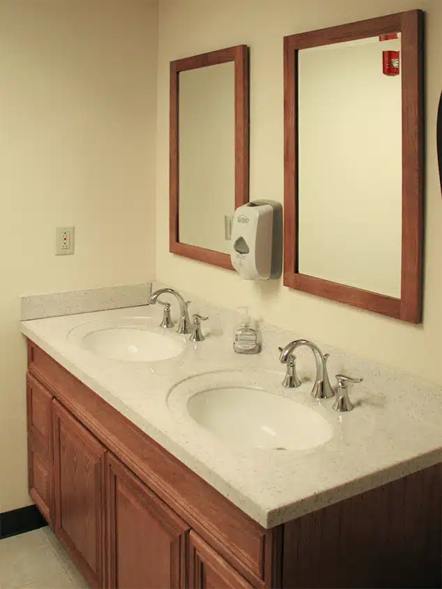 double sink and mirror bathroom vanity with wood cabinets