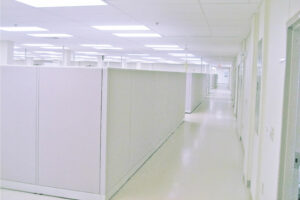Temporary cubicles in an office space 3
